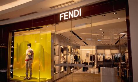 fendi industria srl|who is fendi owned by.